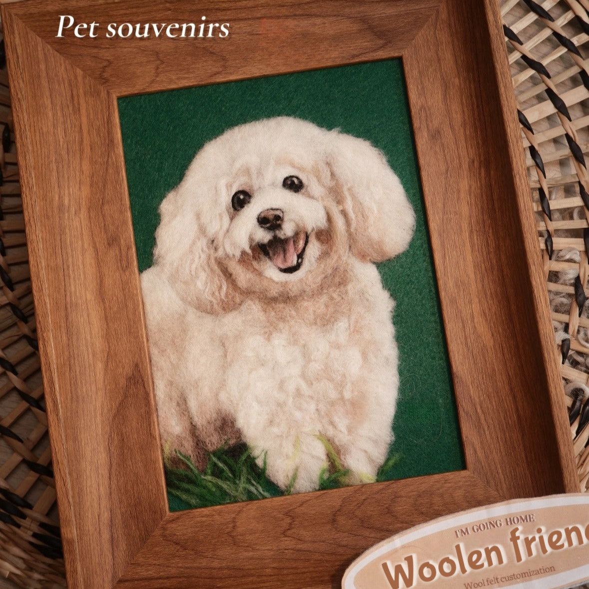 Wool-Painted Pet Portrait
