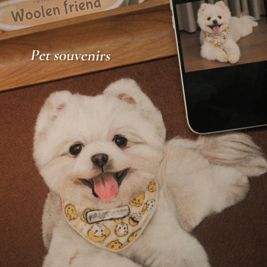 Wool-Painted Pet Portrait