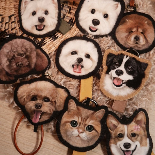 Wool-Painted Pet Portrait (Key)